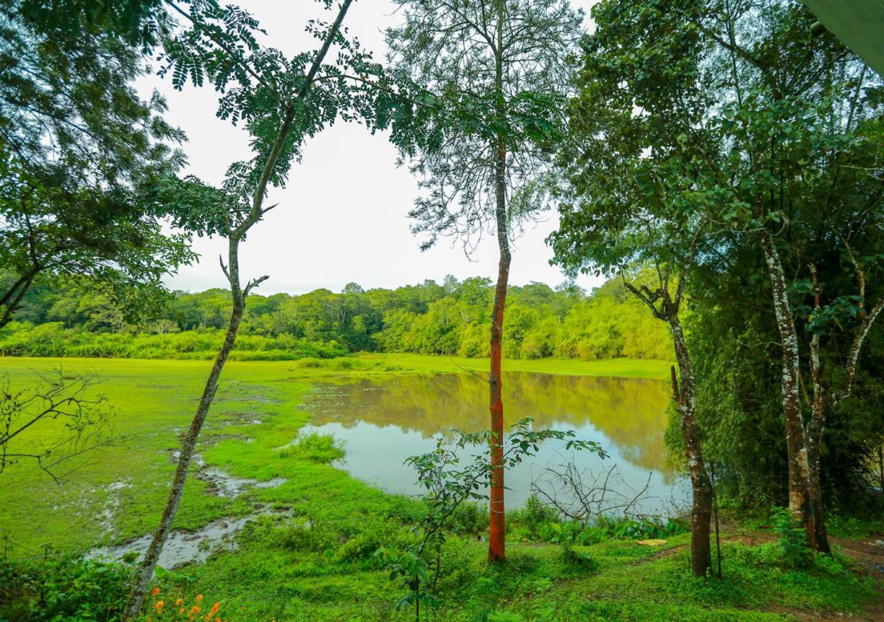 Tusker Inn Wayanad Forest Villa By Voye Homes Eksteriør billede